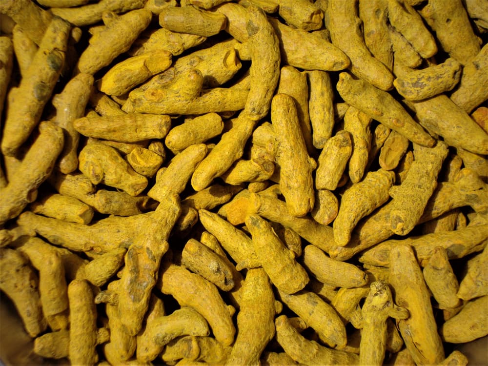 Sun-dried Whole Turmeric Fingers
