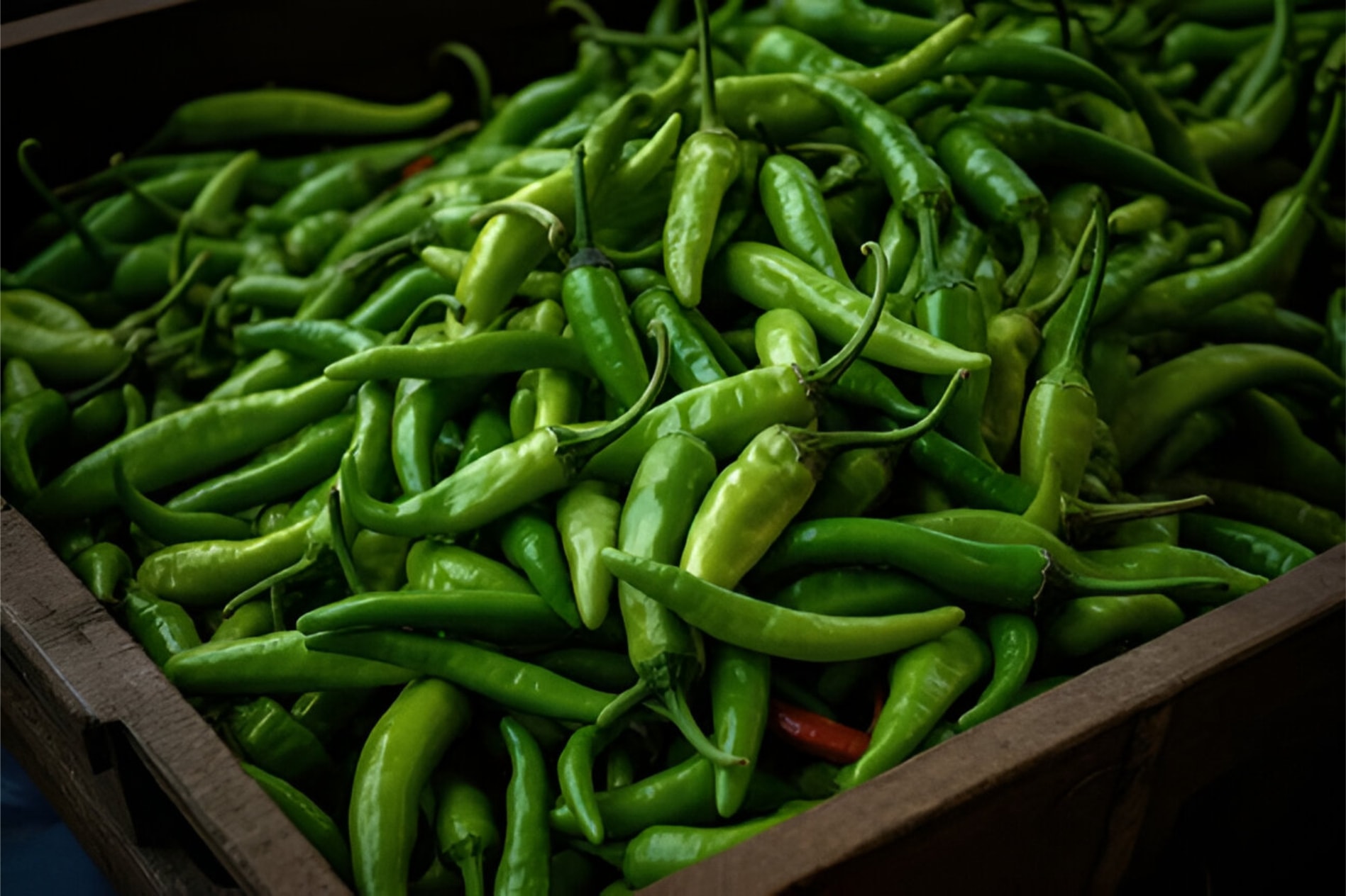 Green Chilli